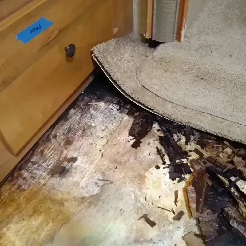 Best Wood Floor Water Damage Service in Studio City, CA